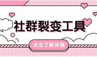 花儿与少年好友季首播
