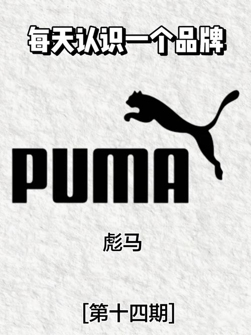 皮诺家族想把运动品牌彪马（Puma）卖了