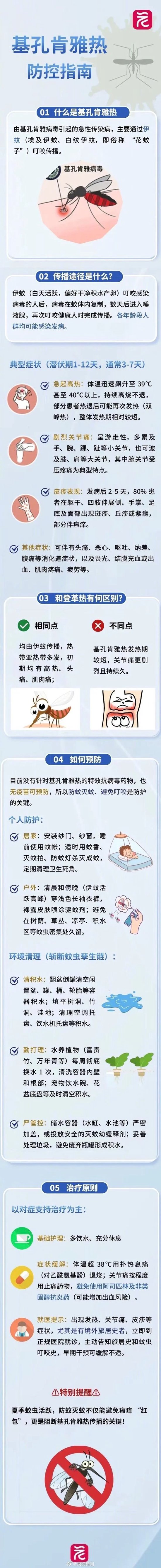 世卫专家警报基孔肯雅热！中疾控：没有人传人迹象，有症状速就医